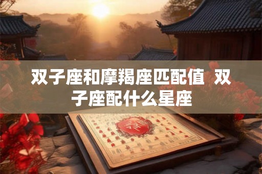 双子座和摩羯座匹配值  双子座配什么星座