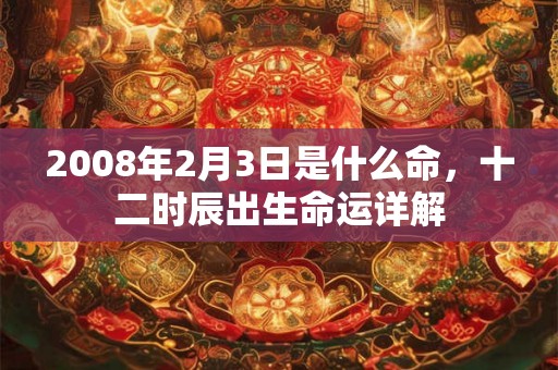 2008年2月3日是什么命，十二时辰出生命运详解