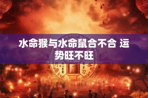 水命猴与水命鼠合不合 运势旺不旺