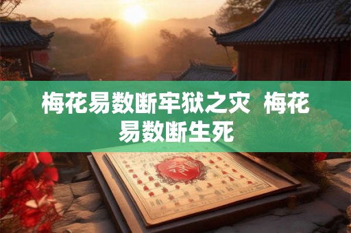 梅花易数断牢狱之灾  梅花易数断生死