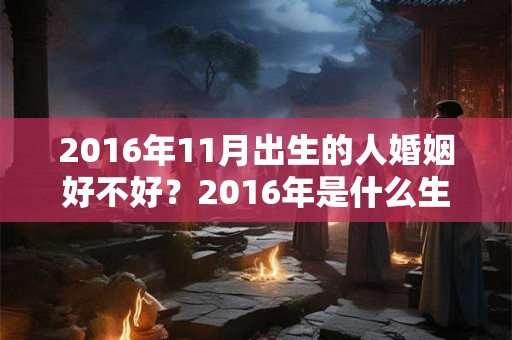 2016年11月出生的人婚姻好不好？2016年是什么生肖？