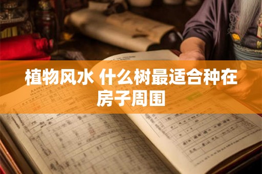 植物风水 什么树最适合种在房子周围