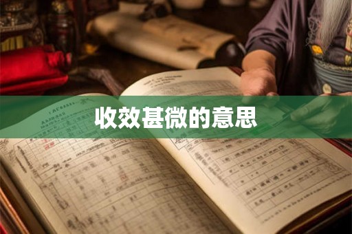 收效甚微的意思