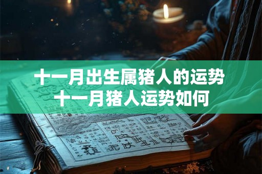 十一月出生属猪人的运势 十一月猪人运势如何 十一月出生属猪人的运势 十一月猪人运势如何