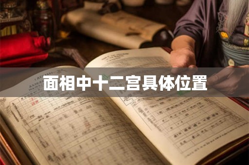 面相中十二宫具体位置