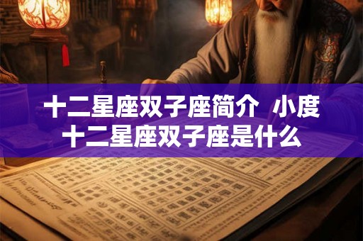 十二星座双子座简介  小度十二星座双子座是什么