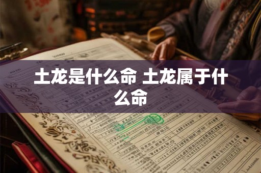 土龙是什么命 土龙属于什么命
