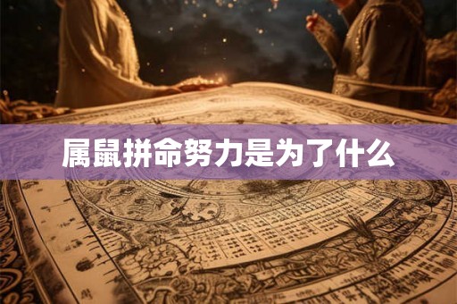 属鼠拼命努力是为了什么