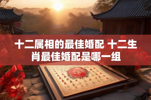 十二属相的最佳婚配 十二生肖最佳婚配是哪一组 十二属相的最佳婚配 十二生肖最佳婚配是哪一组