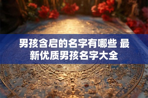 男孩含启的名字有哪些 最新优质男孩名字大全