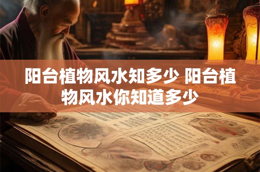 阳台植物风水知多少 阳台植物风水你知道多少 阳台植物风水知多少 阳台植物风水你知道多少