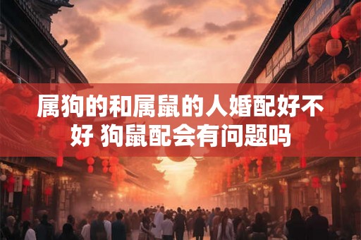 属狗的和属鼠的人婚配好不好 狗鼠配会有问题吗