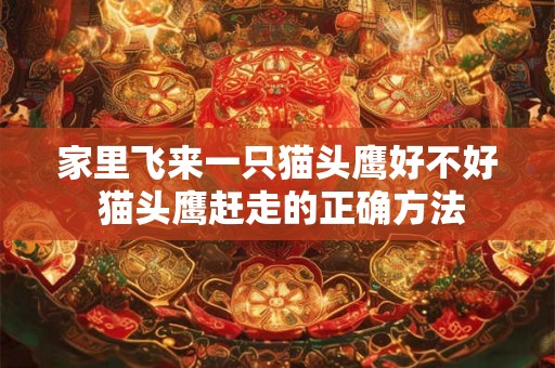 家里飞来一只猫头鹰好不好 猫头鹰赶走的正确方法