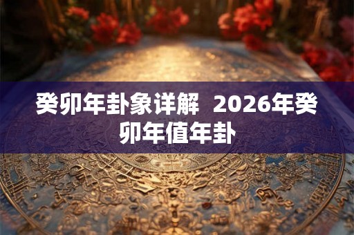 癸卯年卦象详解  2026年癸卯年值年卦