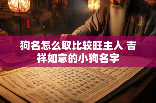 狗名怎么取比较旺主人 吉祥如意的小狗名字 狗名怎么取比较旺主人 吉祥如意的小狗名字