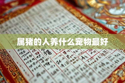 属猪的人养什么宠物最好 属猪的人养什么宠物最好