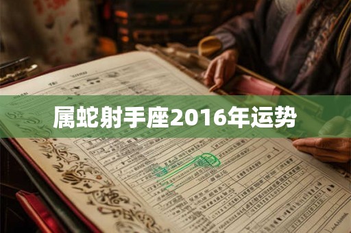 属蛇射手座2016年运势