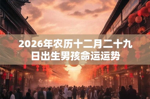 2026年农历十二月二十九日出生男孩命运运势