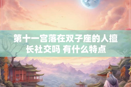第十一宫落在双子座的人擅长社交吗 有什么特点