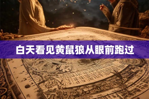 白天看见黄鼠狼从眼前跑过