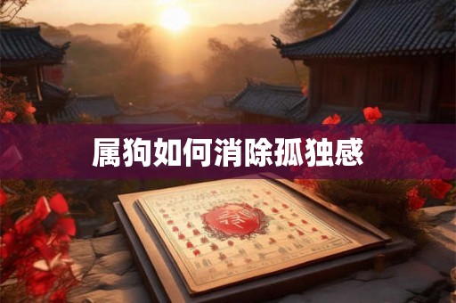 属狗如何消除孤独感