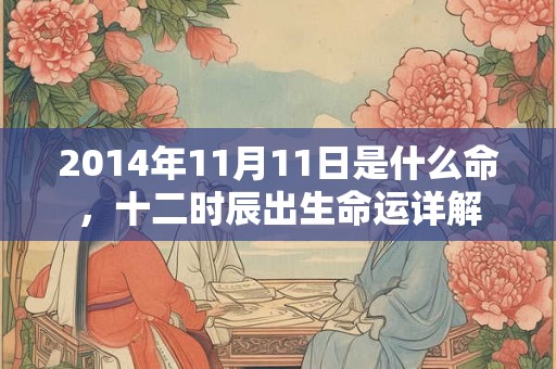 2014年11月11日是什么命，十二时辰出生命运详解