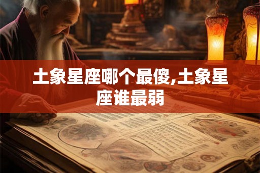 土象星座哪个最傻,土象星座谁最弱