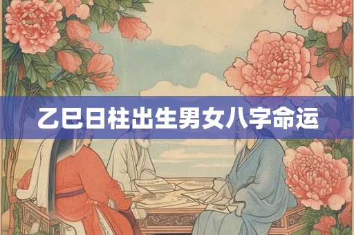 乙巳日柱出生男女八字命运