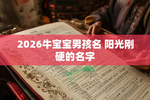 2026牛宝宝男孩名 阳光刚硬的名字