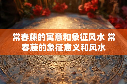 常春藤的寓意和象征风水 常春藤的象征意义和风水