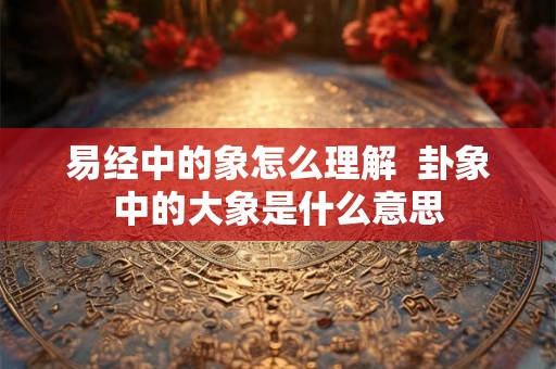 易经中的象怎么理解  卦象中的大象是什么意思
