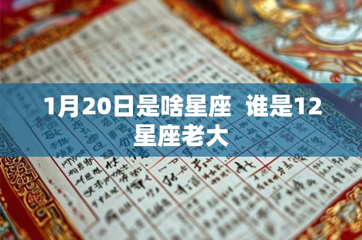 1月20日是啥星座  谁是12星座老大
