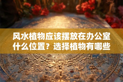 风水植物应该摆放在办公室什么位置？选择植物有哪些讲究？