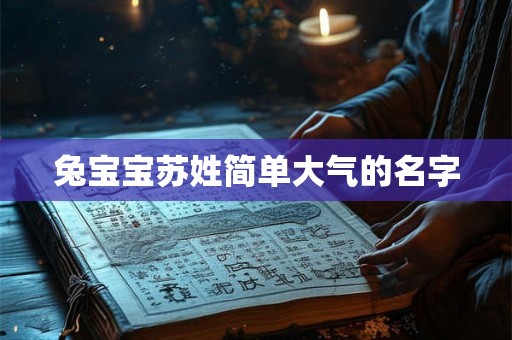 兔宝宝苏姓简单大气的名字 兔宝宝苏姓简单大气的名字