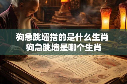 狗急跳墙指的是什么生肖 狗急跳墙是哪个生肖