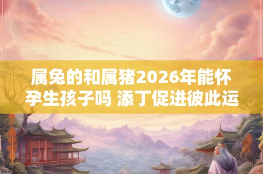 属兔的和属猪2026年能怀孕生孩子吗 添丁促进彼此运势发展
