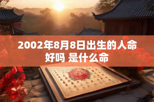 2002年8月8日出生的人命好吗 是什么命 2002年8月8日出生的人命好吗 是什么命