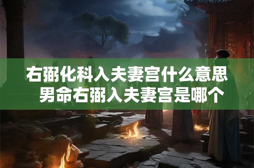 右弼化科入夫妻宫什么意思  男命右弼入夫妻宫是哪个出轨