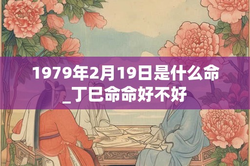 1979年2月19日是什么命_丁巳命命好不好