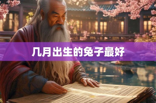 几月出生的兔子最好