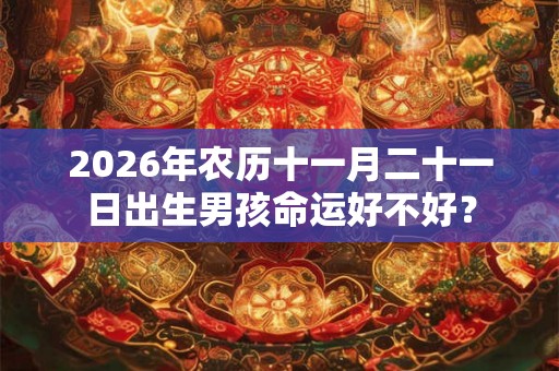 2026年农历十一月二十一日出生男孩命运好不好？