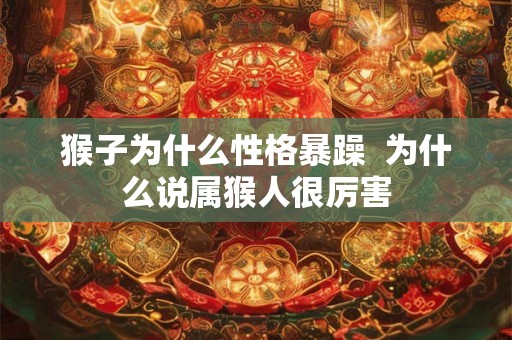 猴子为什么性格暴躁  为什么说属猴人很厉害