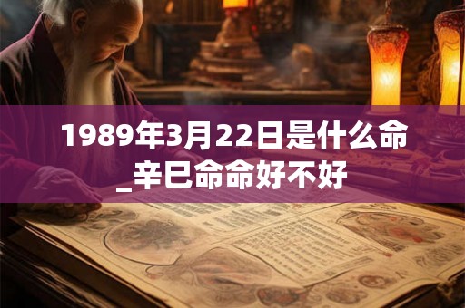 1989年3月22日是什么命_辛巳命命好不好