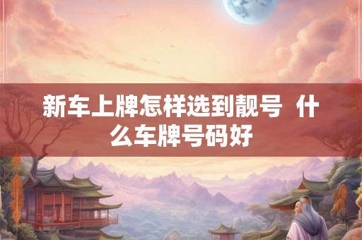 新车上牌怎样选到靓号 什么车牌号码好 新车上牌怎样选到靓号 什么车牌号码好