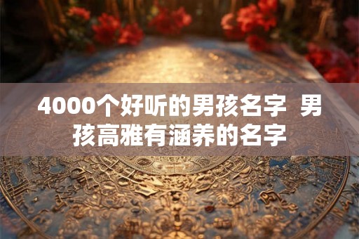 4000个好听的男孩名字  男孩高雅有涵养的名字