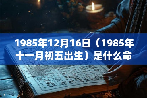 1985年12月16日(1985年十一月初五出生)是什么命_命运如何 1985年12月16日(1985年十一月初五出生)是什么命_命运如何