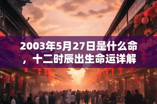 2003年5月27日是什么命,十二时辰出生命运详解 2003年5月27日是什么命,十二时辰出生命运详解