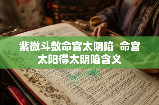 紫微斗数命宫太阴陷  命宫太阳得太阴陷含义