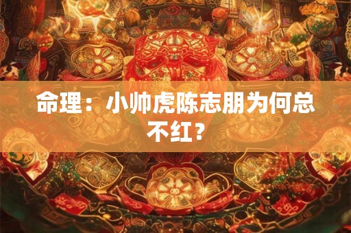 命理：小帅虎陈志朋为何总不红？