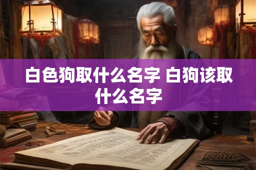 白色狗取什么名字 白狗该取什么名字
